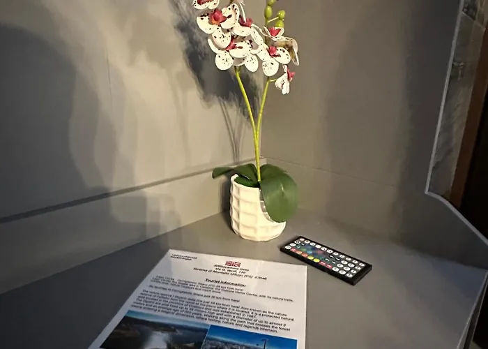 Casa de hóspedes Gess 3*