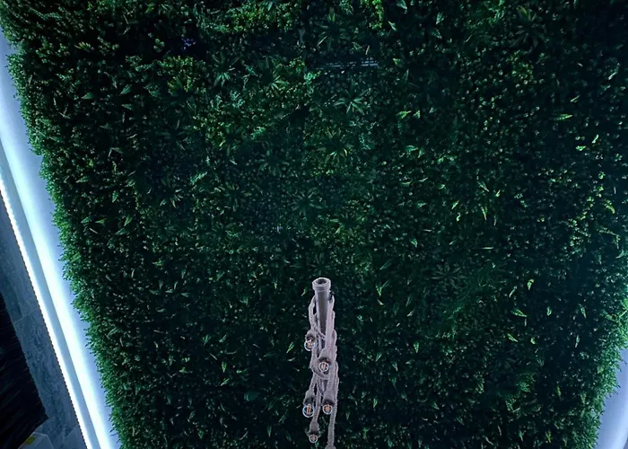 Gess Casa de hóspedes 3*